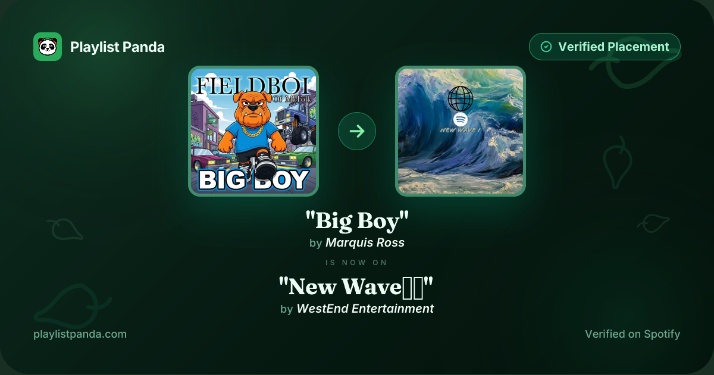Playlist placement confirmation for the track Big Boy on the New Wave playlist