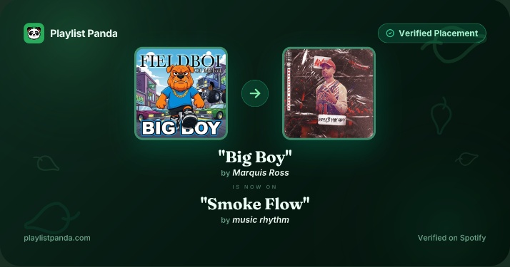 Playlist placement confirmation for the track Big Boy on the Smoke Flow playlist