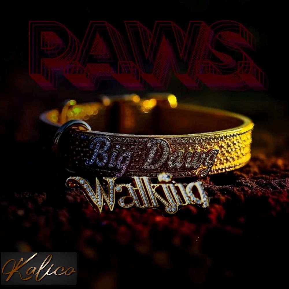 Album cover for P.A.W.S (Big Dawg Walking) by Kalico of MyFolk, a dog collar with a Big Dawg Walking pendant